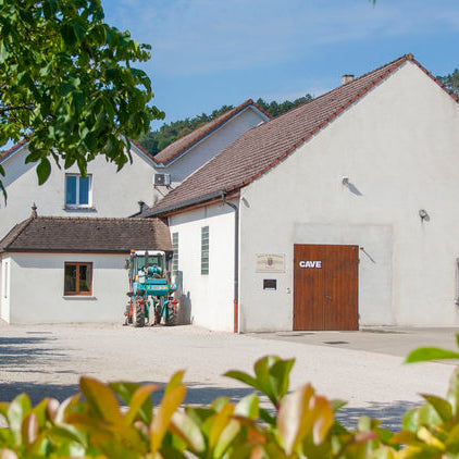 Domaine Chevillon-Chezeaux