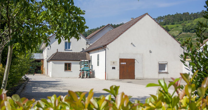 Domaine Chevillon-Chezeaux
