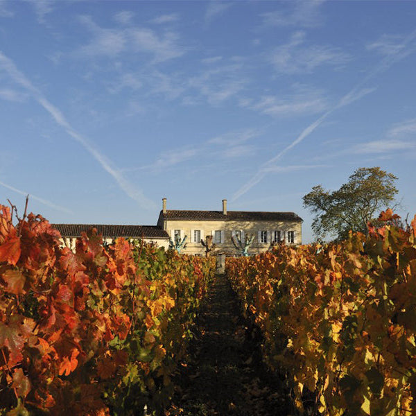 The Durantou Family: Right Bank Bordeaux Royalty