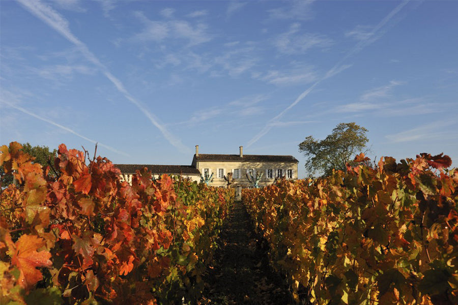 The Durantou Family: Right Bank Bordeaux Royalty