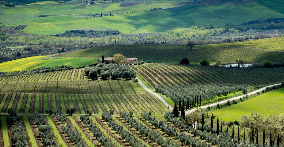 Tuscan Treasure: Brunello di Montalcino