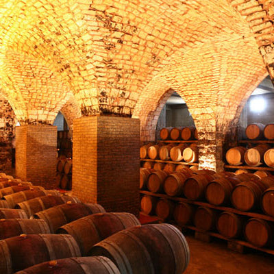 Wine Highlight: 2016 Chateau Musar