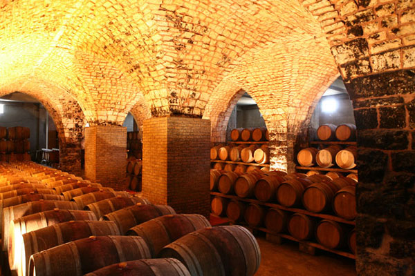 Wine Highlight: 2016 Chateau Musar