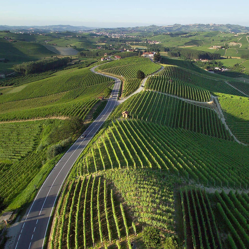 Piedmont