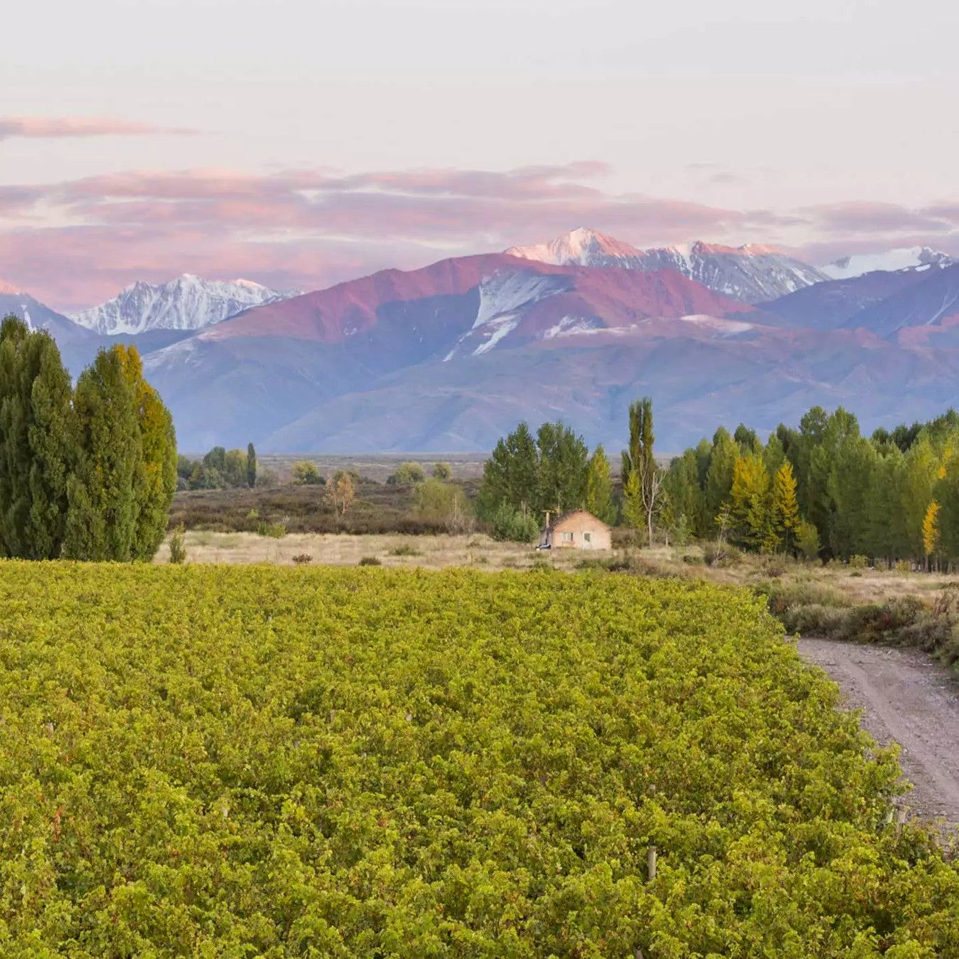 Argentina