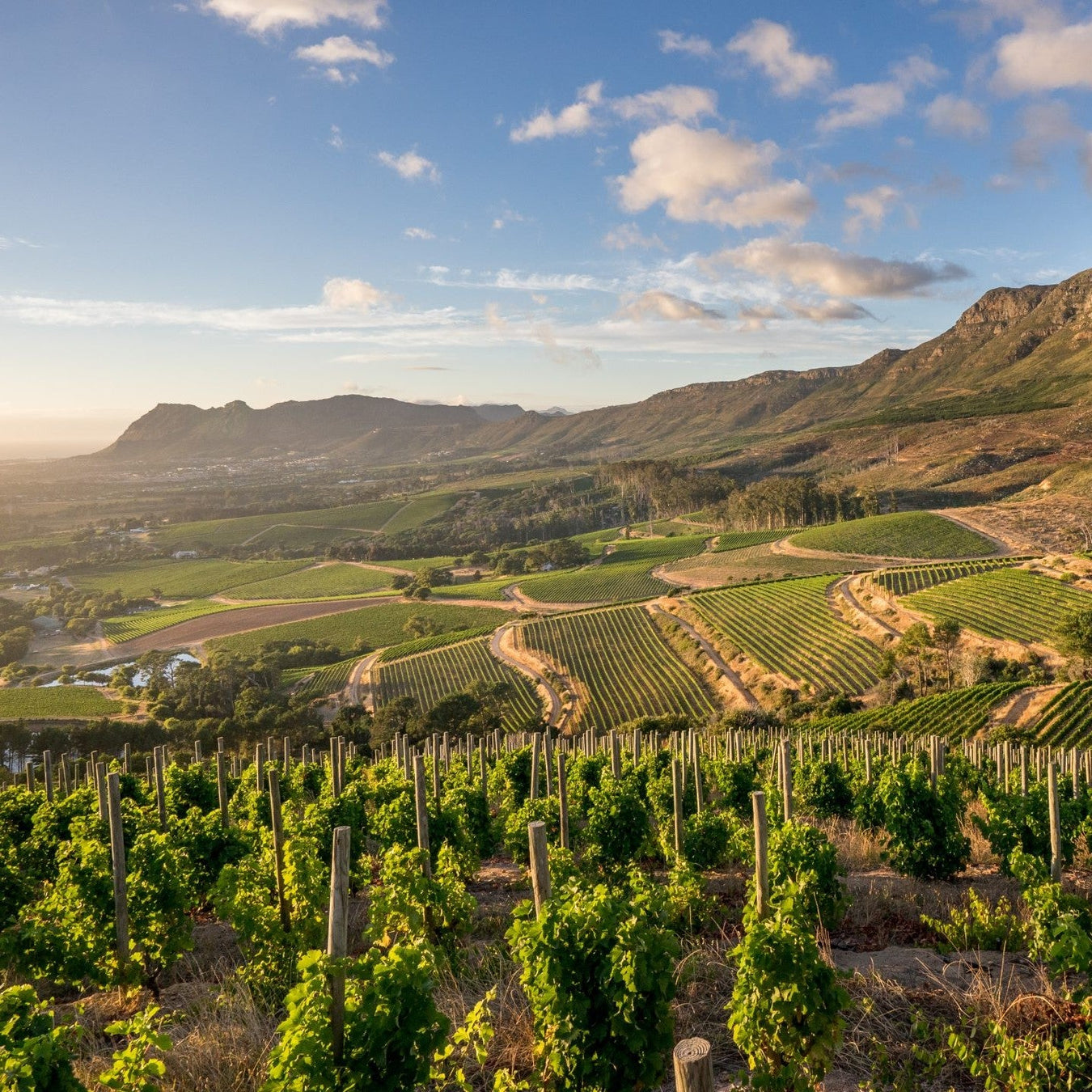 South Africa